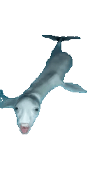 jeremy